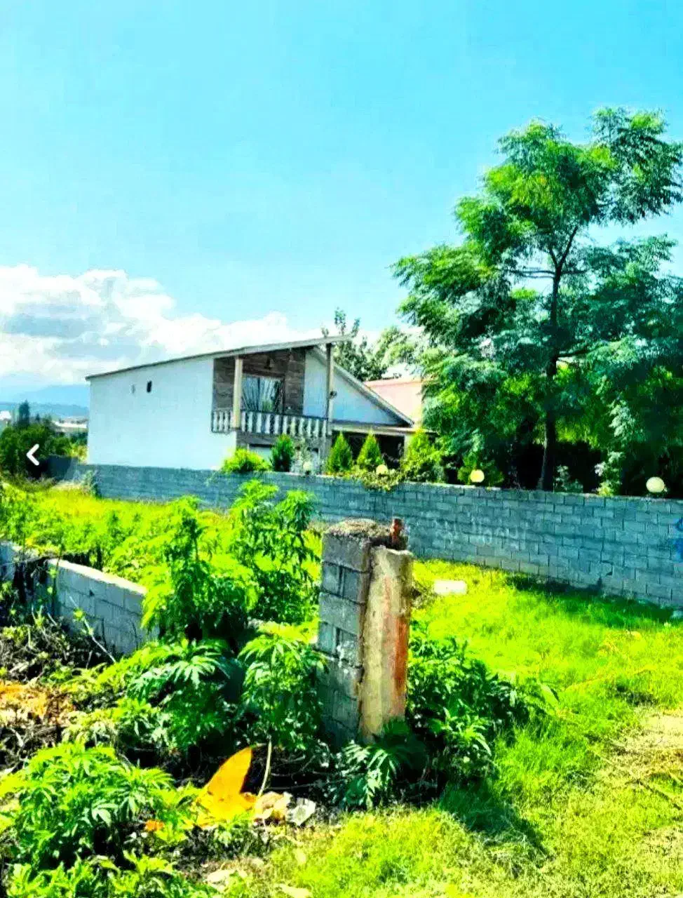 ۲۵۰متر/با پروانه ساخت/شهرکی/ویوجنگل/تهاتر باخودرو|فروش زمین و ملک کلنگی|چمستان, |دیوار