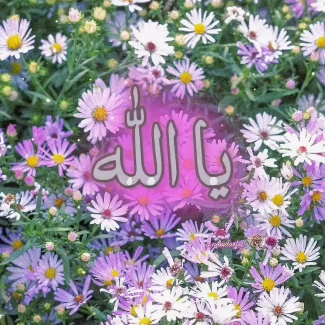 هرس برش سربرداری وقطع درختان باغی ومنزل|خدمات باغبانی و درختکاری|تربت جام, اسماعیل آباد|دیوار