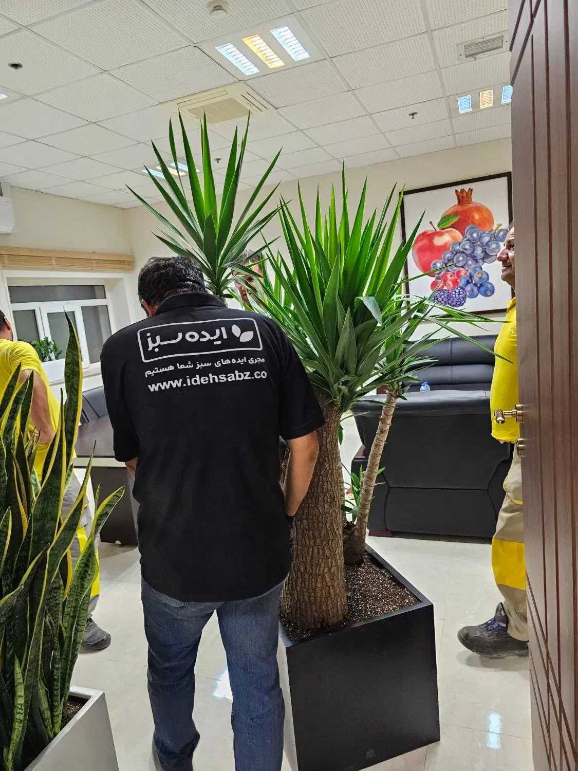 فروش فلاورباکس فایبرگلاس - گلدان فایبرگلاس|گل و گیاه طبیعی|تهران, نارمک|دیوار