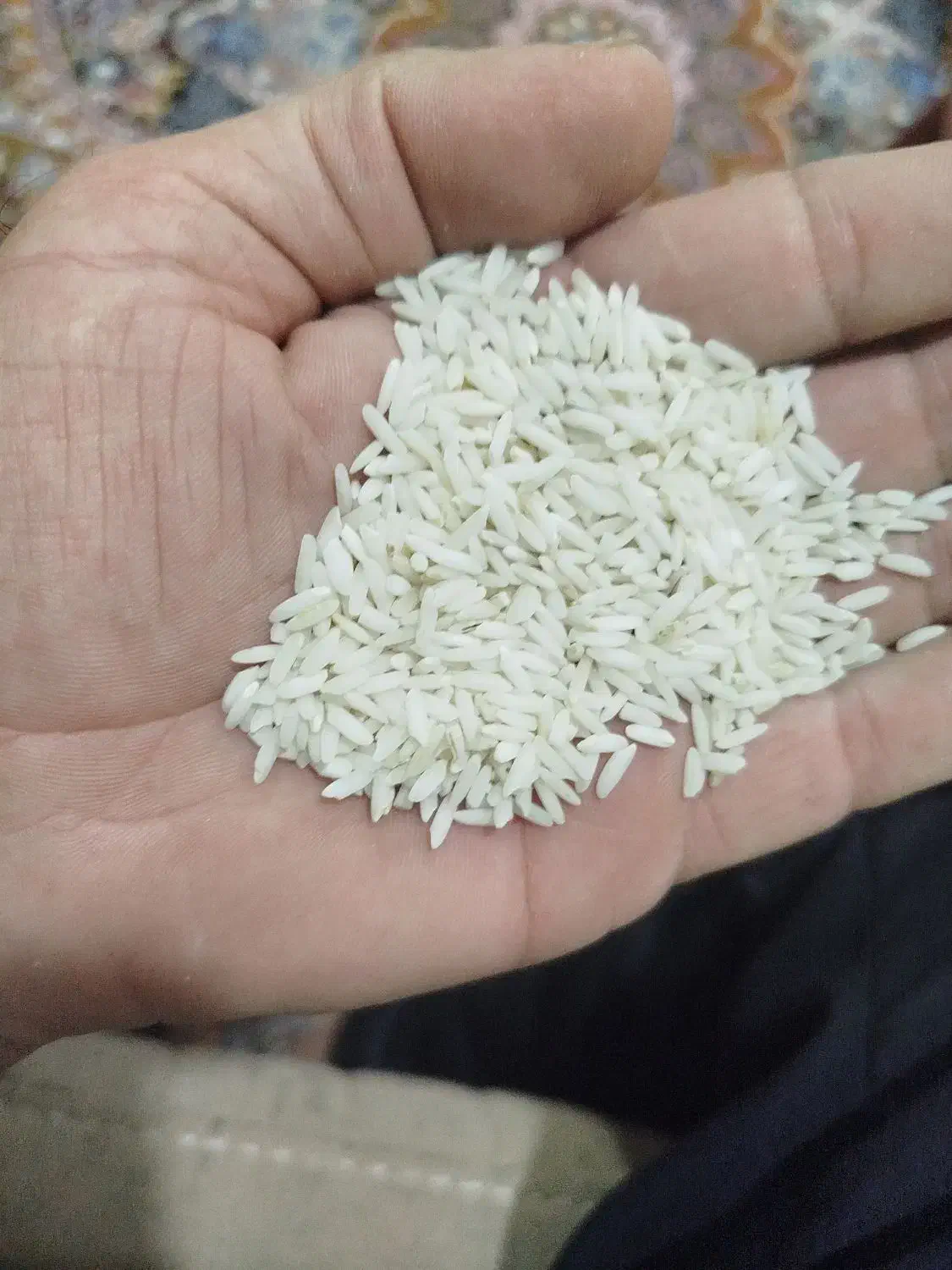 برنج هاشمی اصل درجه یک|خوردنی و آشامیدنی|میاندوآب, |دیوار