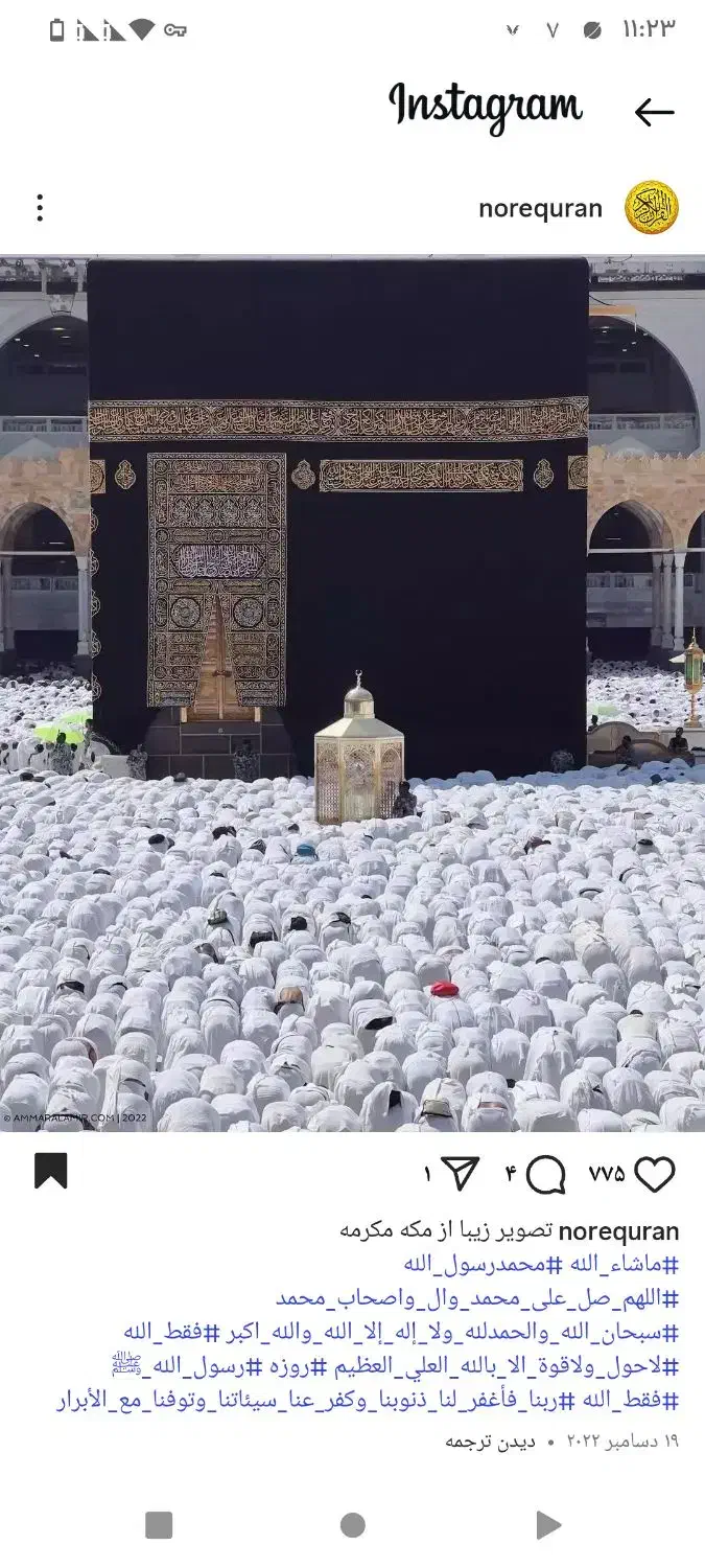 فیش حج عمره|تور و چارتر|قیدار, |دیوار