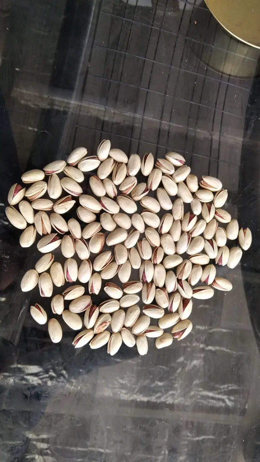 پسته|خوردنی و آشامیدنی|شیراز, آزادی|دیوار