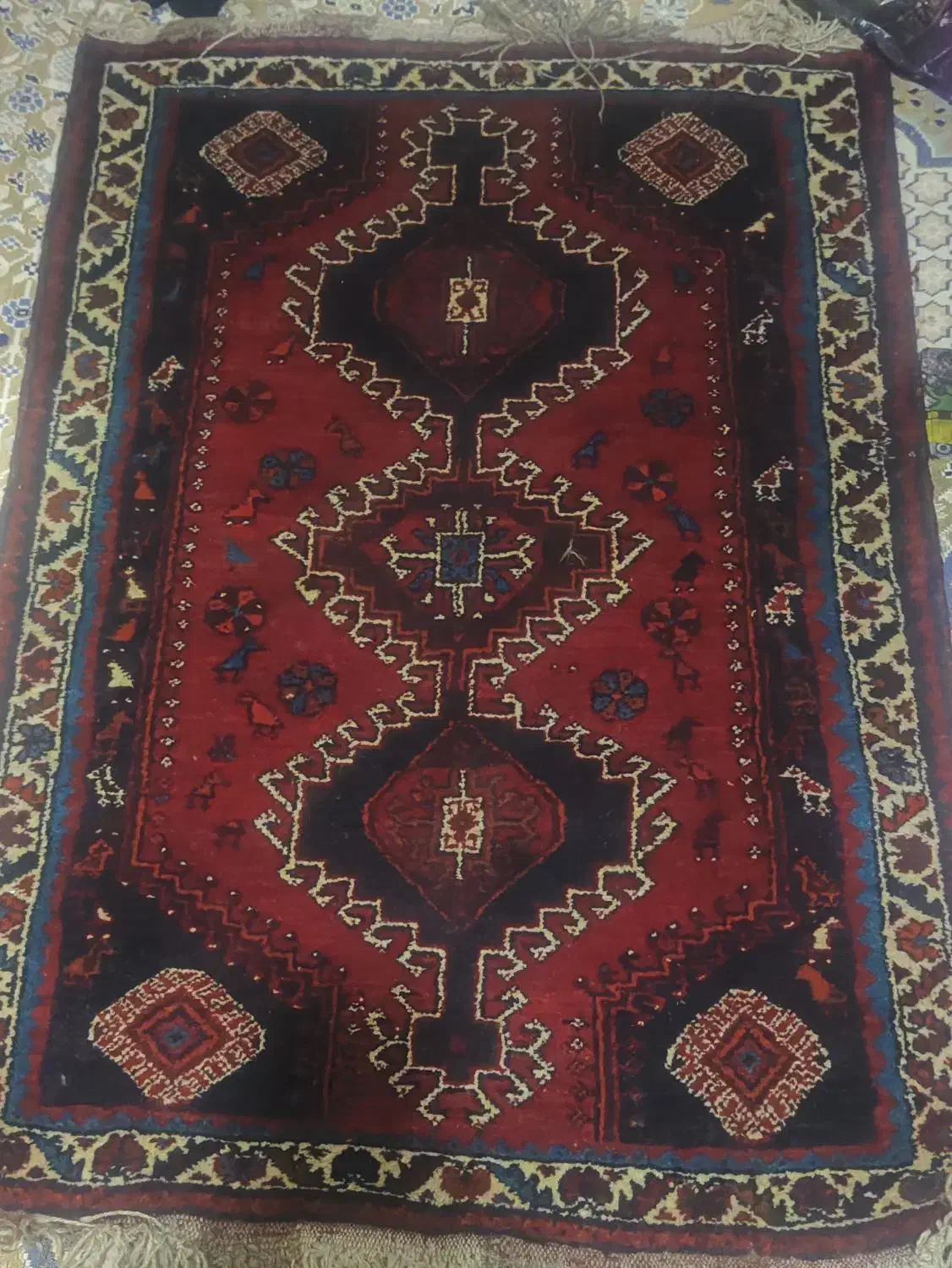 قالی دست باف محلی|فرش|تهران, فردوسی|دیوار