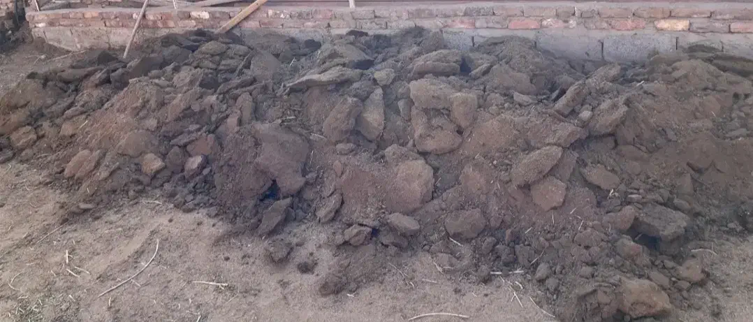 کود گوسفندی ۸ ساله|خدمات باغبانی و درختکاری|کرمان, |دیوار