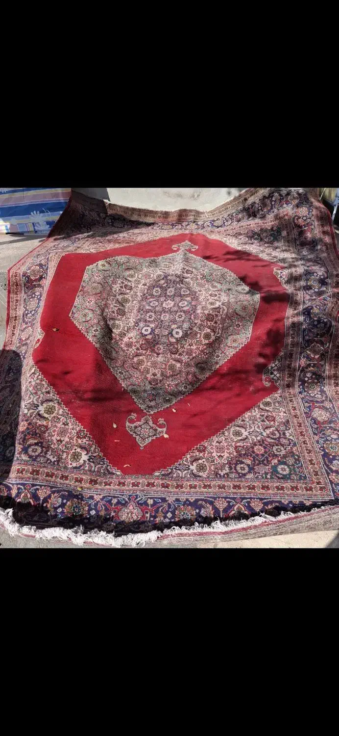 فرش دستبافت|فرش|شوط, |دیوار