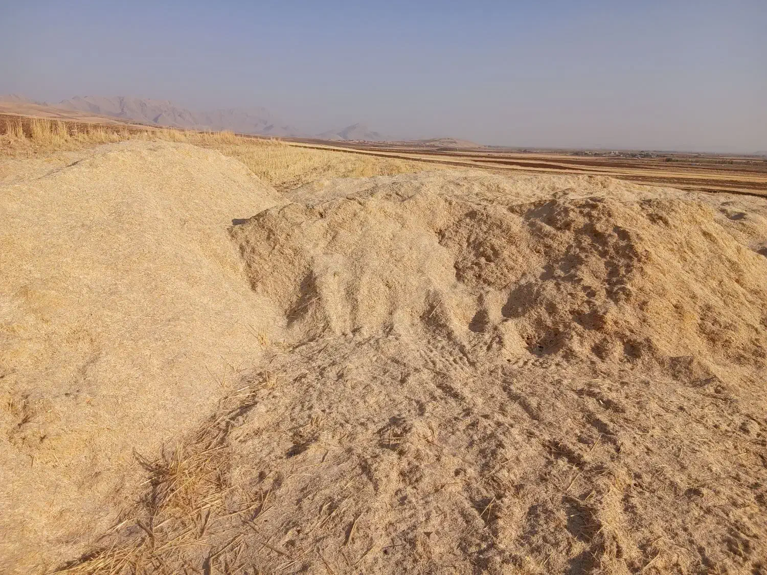 کاه|لوازم جانبی حیوانات|روانسر, |دیوار