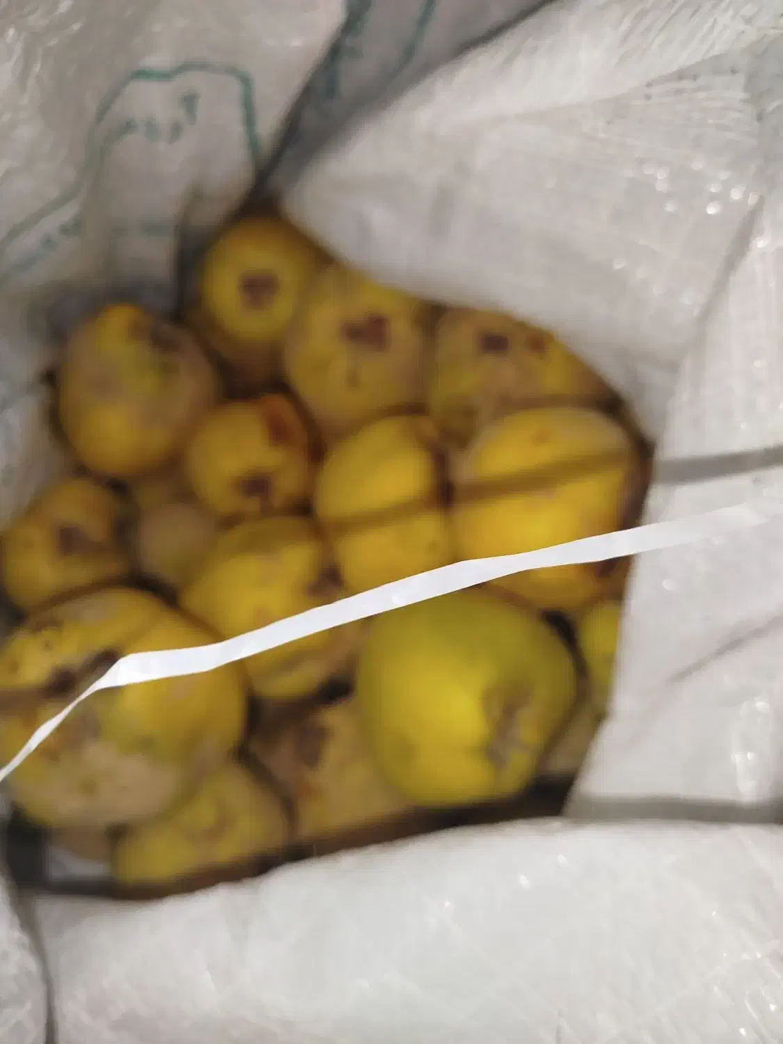 به ارگانیک|خوردنی و آشامیدنی|تربت جام, نظامی|دیوار