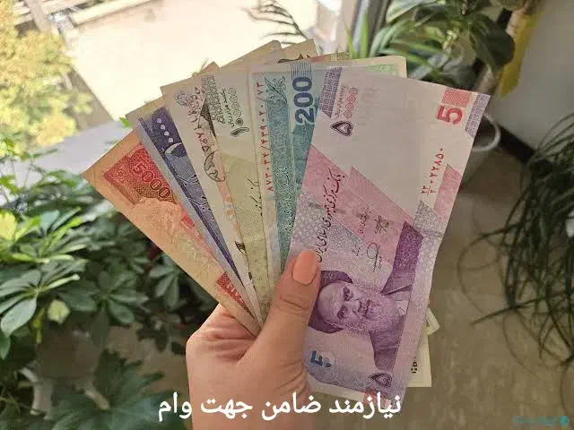 ض ا م ن|فعالیت داوطلبانه|فیروزآباد (فارس), |دیوار