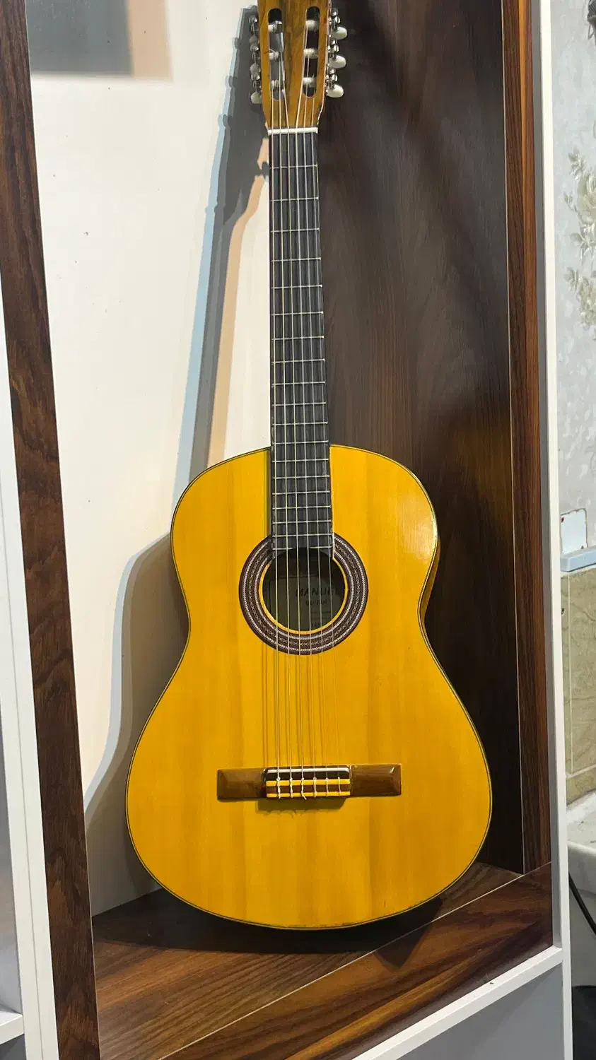 گیتار مانوئل۱۹۸۹|گیتار، بیس، امپلیفایر|فومن, |دیوار