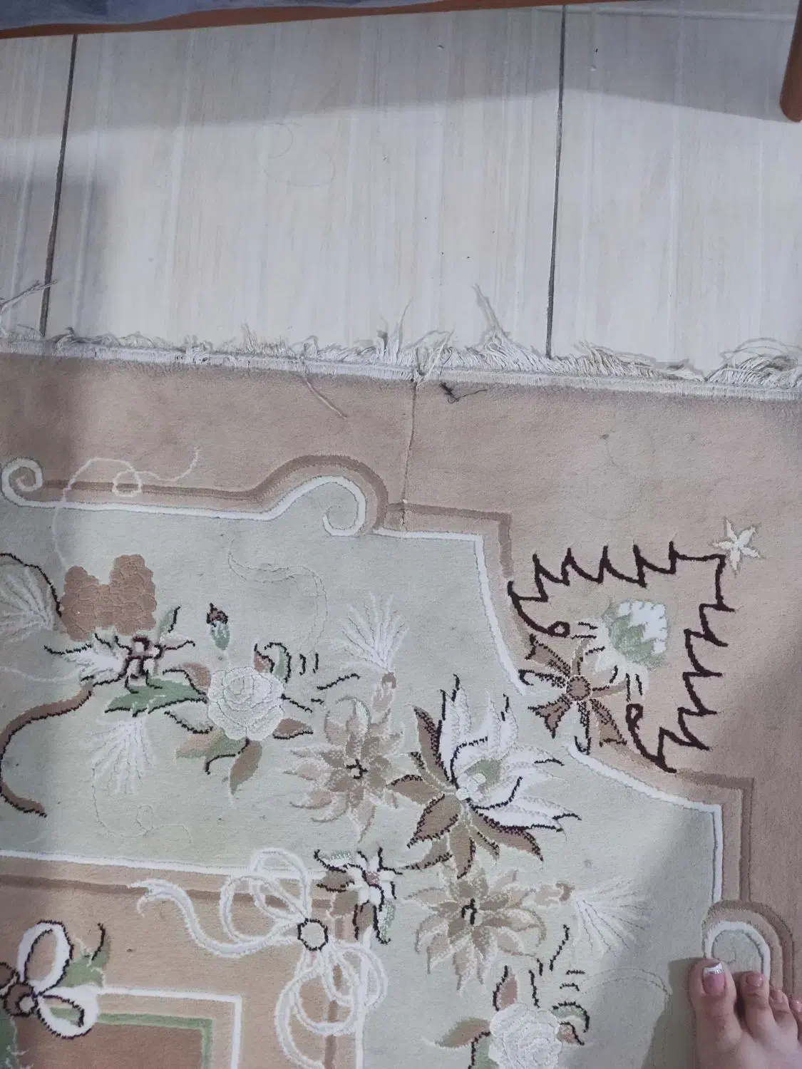 فرش|فرش|میاندوآب, |دیوار