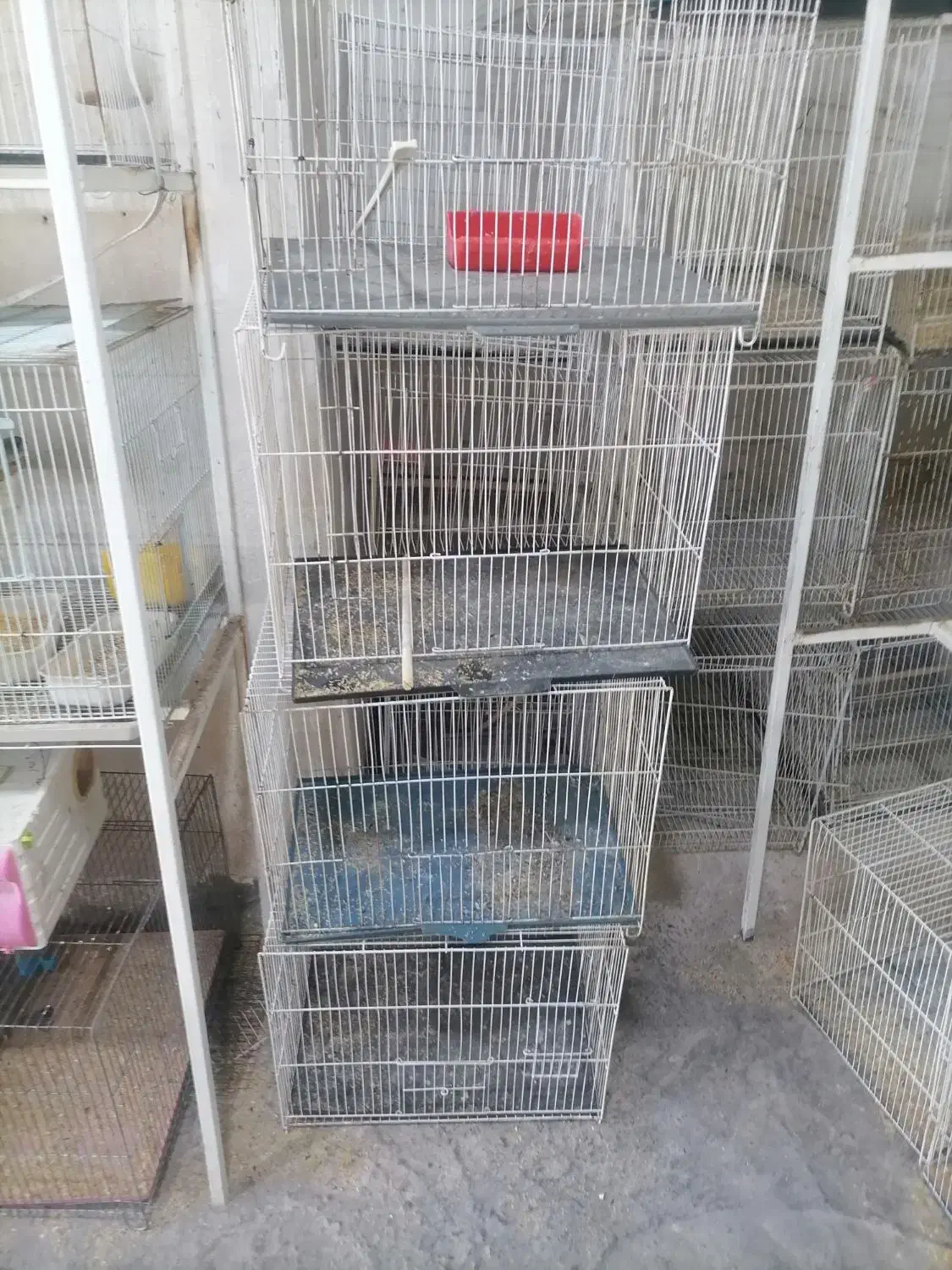 قفس قناری و..|لوازم جانبی حیوانات|کرمان, |دیوار