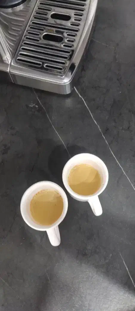 اسپرسوساز نیمه صنعتی مباشی مدل ECM2110|سماور، چای‌ساز، قهوه‌ساز|مشکین‌دشت, |دیوار