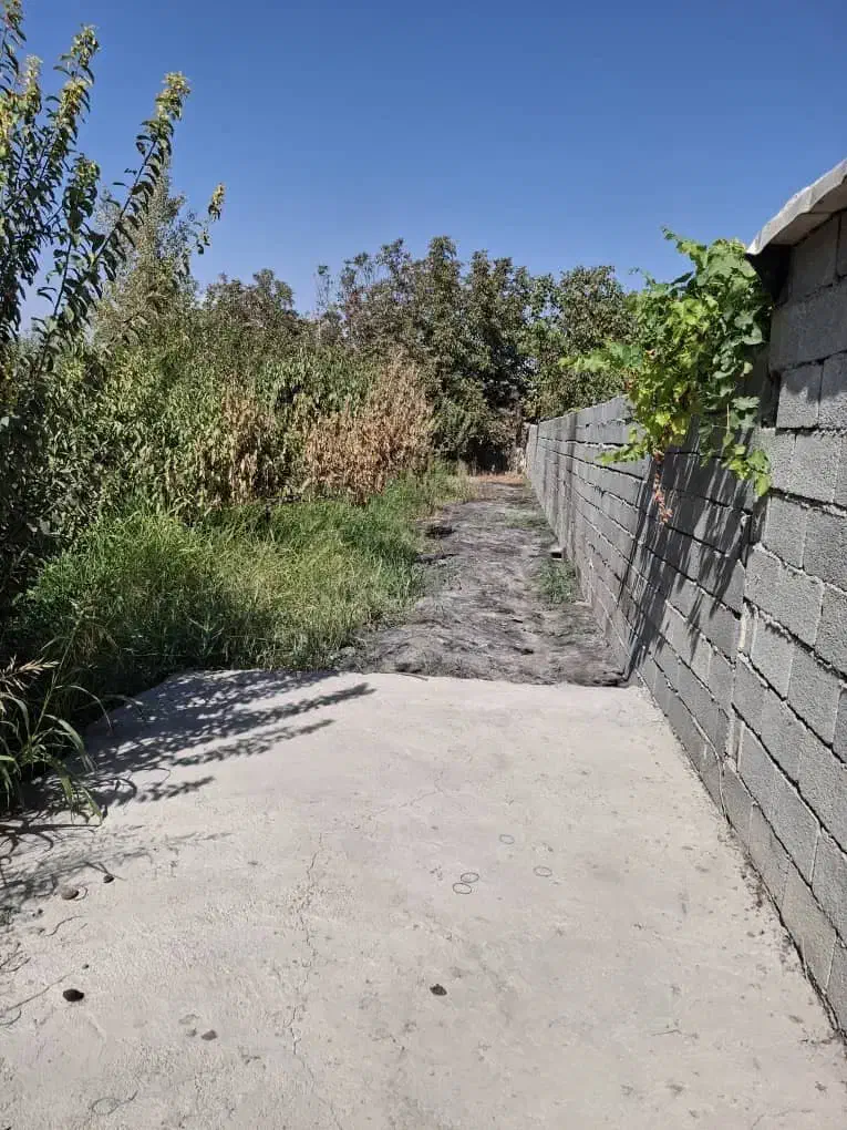 فروش باغچه ۸۶۰ متری|فروش دفتر صنعتی، کشاورزی، تجاری|باغستان, |دیوار