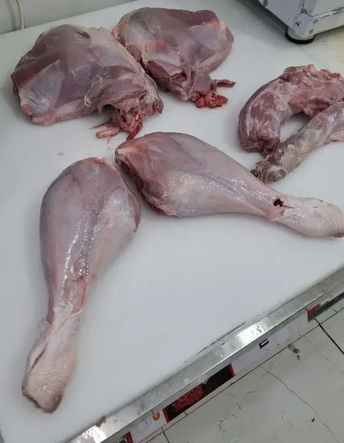 ران گرم و منجمد و بوقلمون گرم|خوردنی و آشامیدنی|دلوار, |دیوار