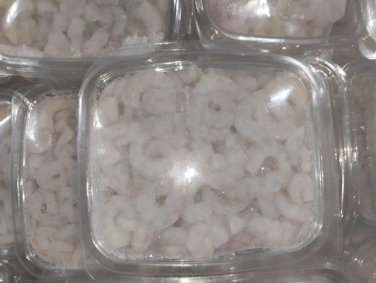 میگو سرتیز جنگل|خوردنی و آشامیدنی|قشم, |دیوار