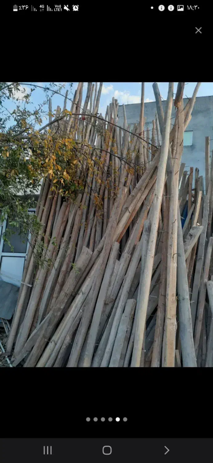 چوب ساختمانی و زغالی|مصالح و تجهیزات ساختمان|گرگان, |دیوار