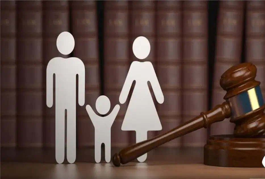 وکیل پایه یک دادگستری در دعاوی خانواده|خدمات مالی، حسابداری، بیمه|شیراز, زرهی|دیوار