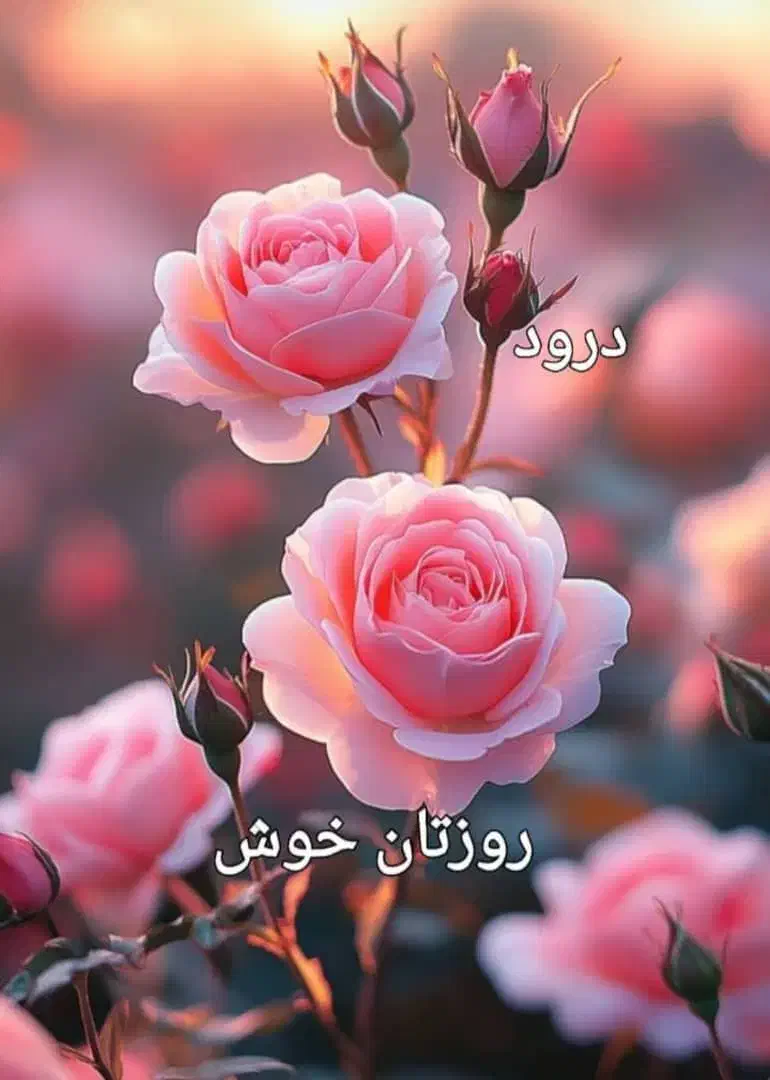 تبلیغات برق کشی ولوله کشی ساختمان|خدمات پیشه و مهارت|شیراز, ماه فیروزان|دیوار