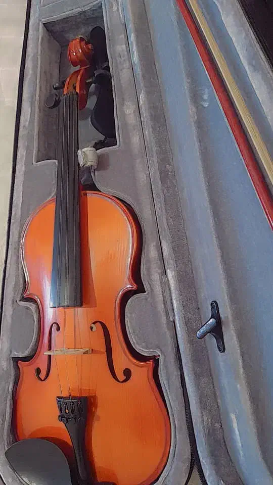 ویولن رناتو 220 همراه لوازم جانبی|ویولن|همدان, |دیوار