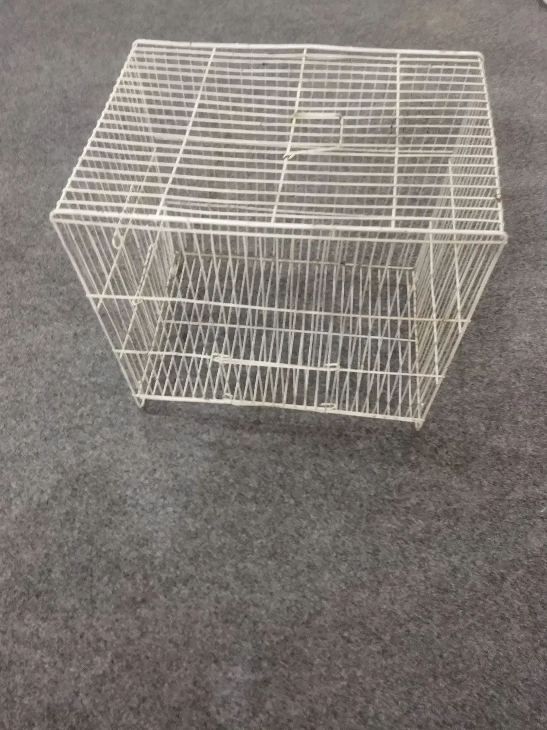 قفس|لوازم جانبی حیوانات|آبدانان, |دیوار