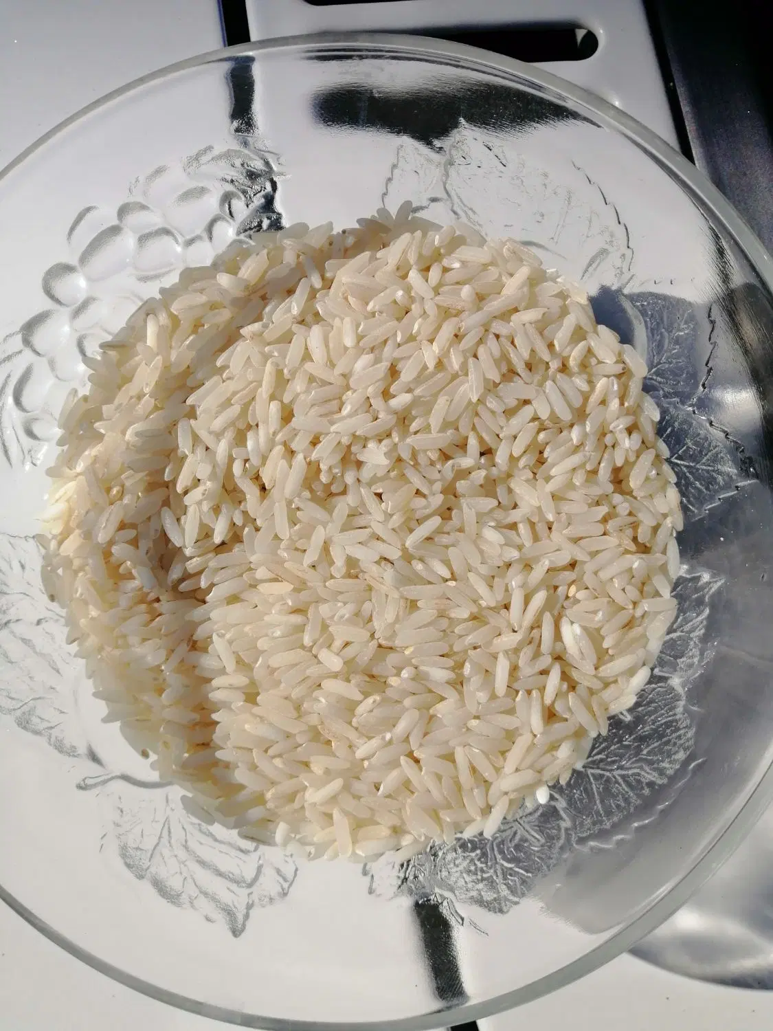برنج|خوردنی و آشامیدنی|بیرجند, |دیوار