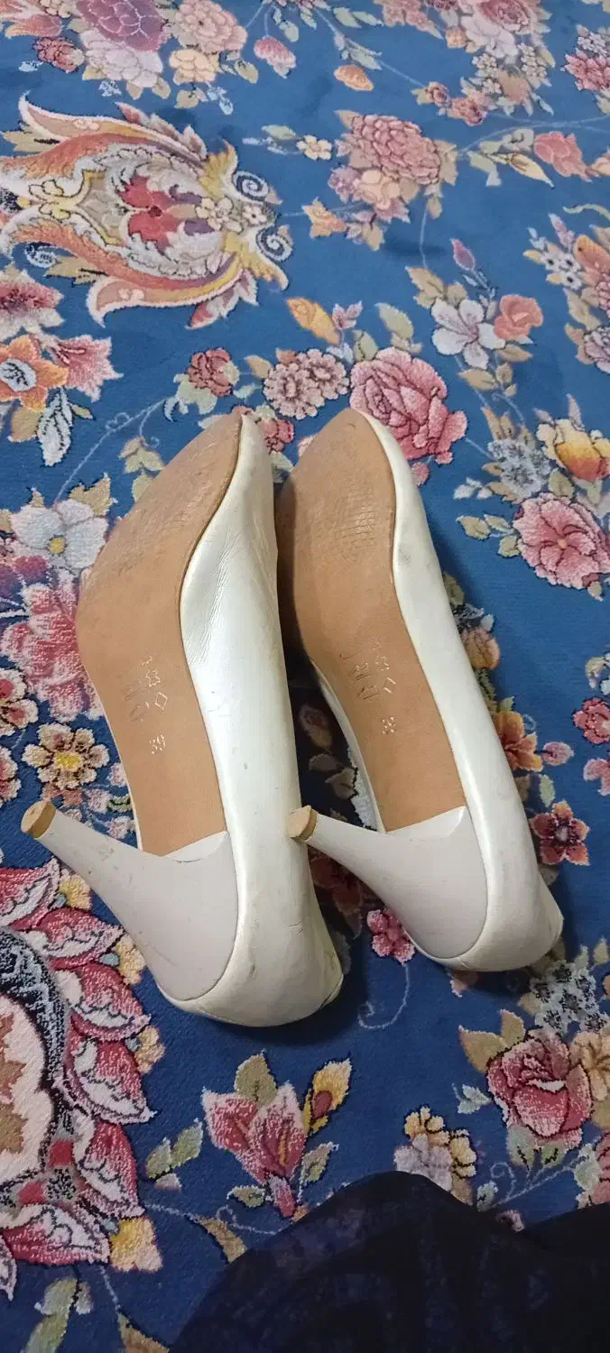 کفش پاشنه بلند|کیف، کفش، کمربند|جوانرود, |دیوار