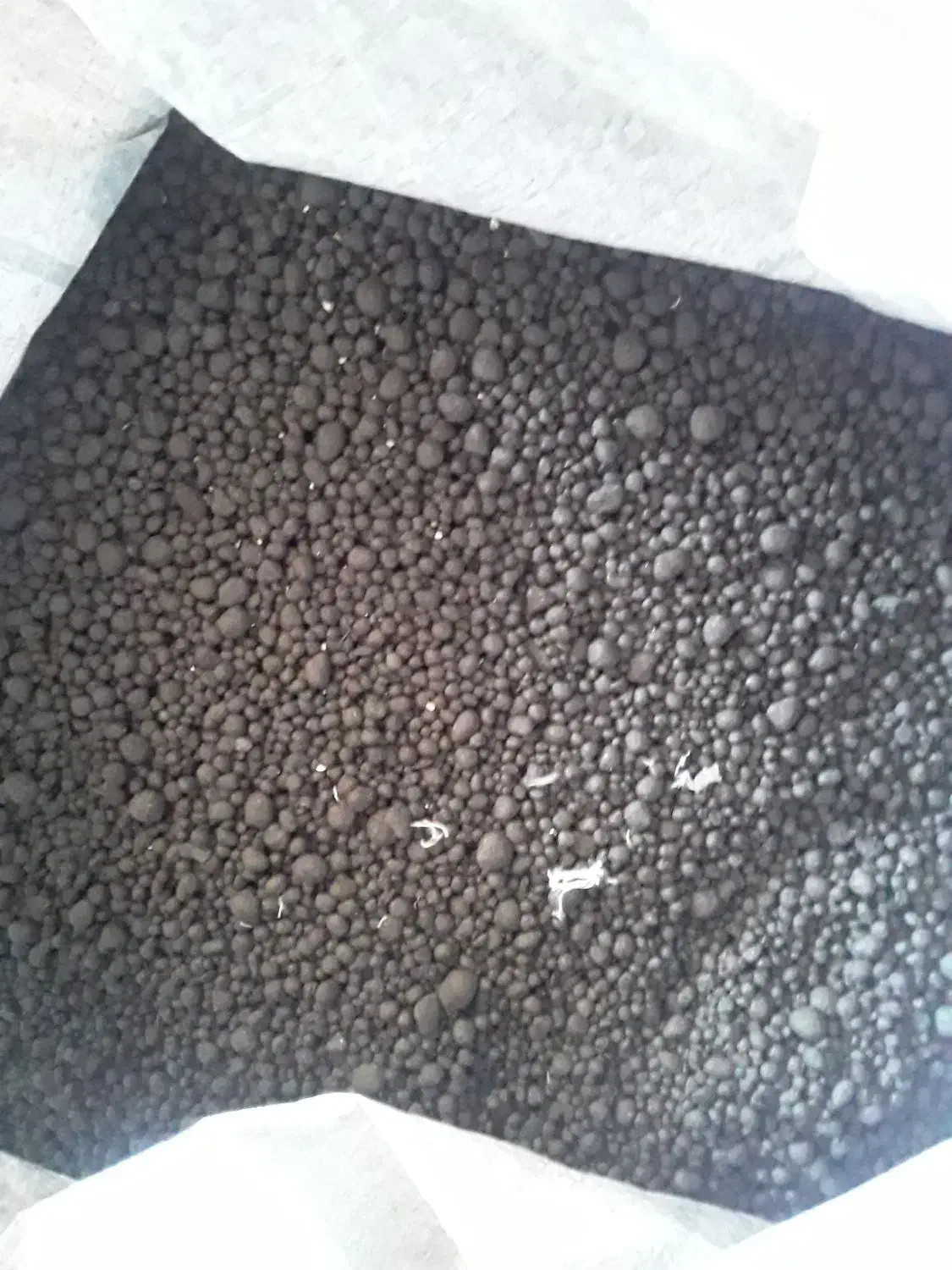 کودریشه۲۵کیلویی۵۰۰|گل و گیاه طبیعی|آبدانان, |دیوار