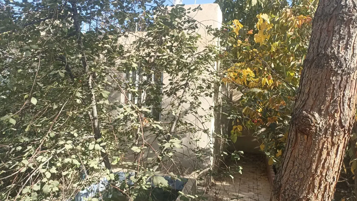 فروش ویلای 515متری دوخواب چهار باغ عرب آباد|فروش خانه و ویلا|چهارباغ, |دیوار