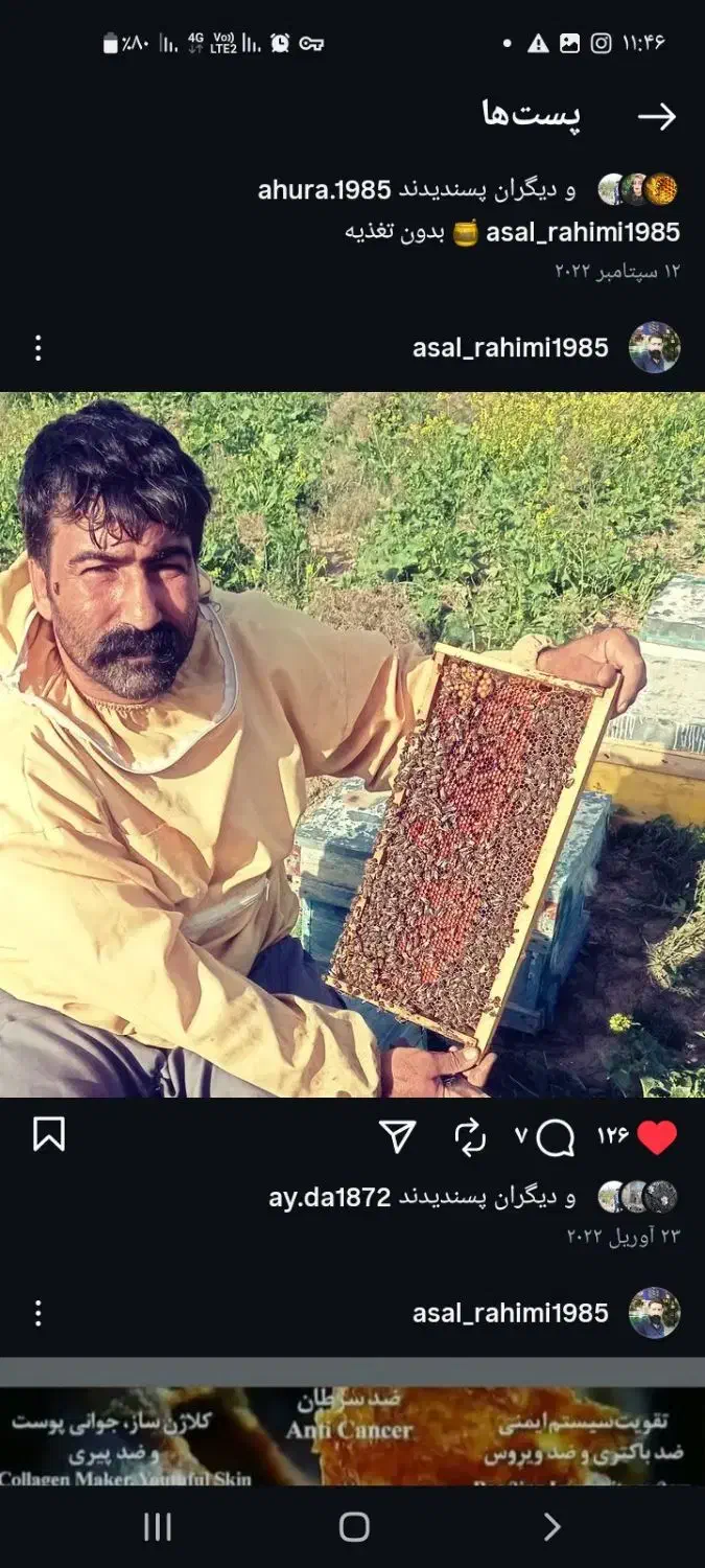 عسل|خوردنی و آشامیدنی|خلجستان, |دیوار