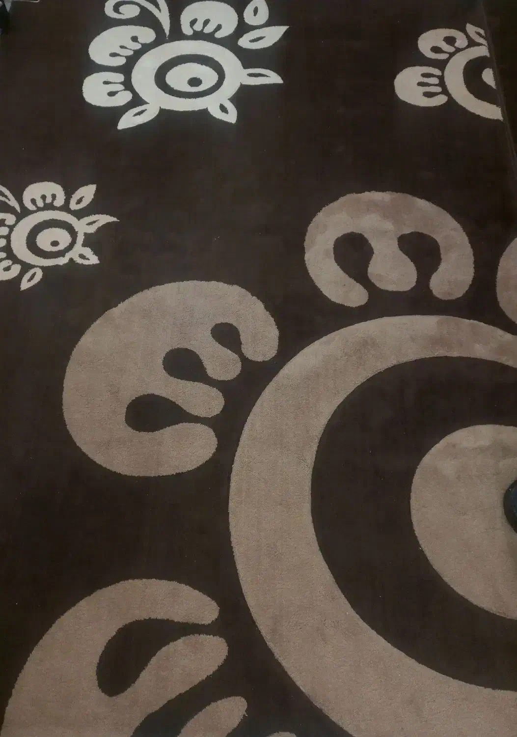 فرش ۶متری|فرش|رشت, حمیدیان|دیوار