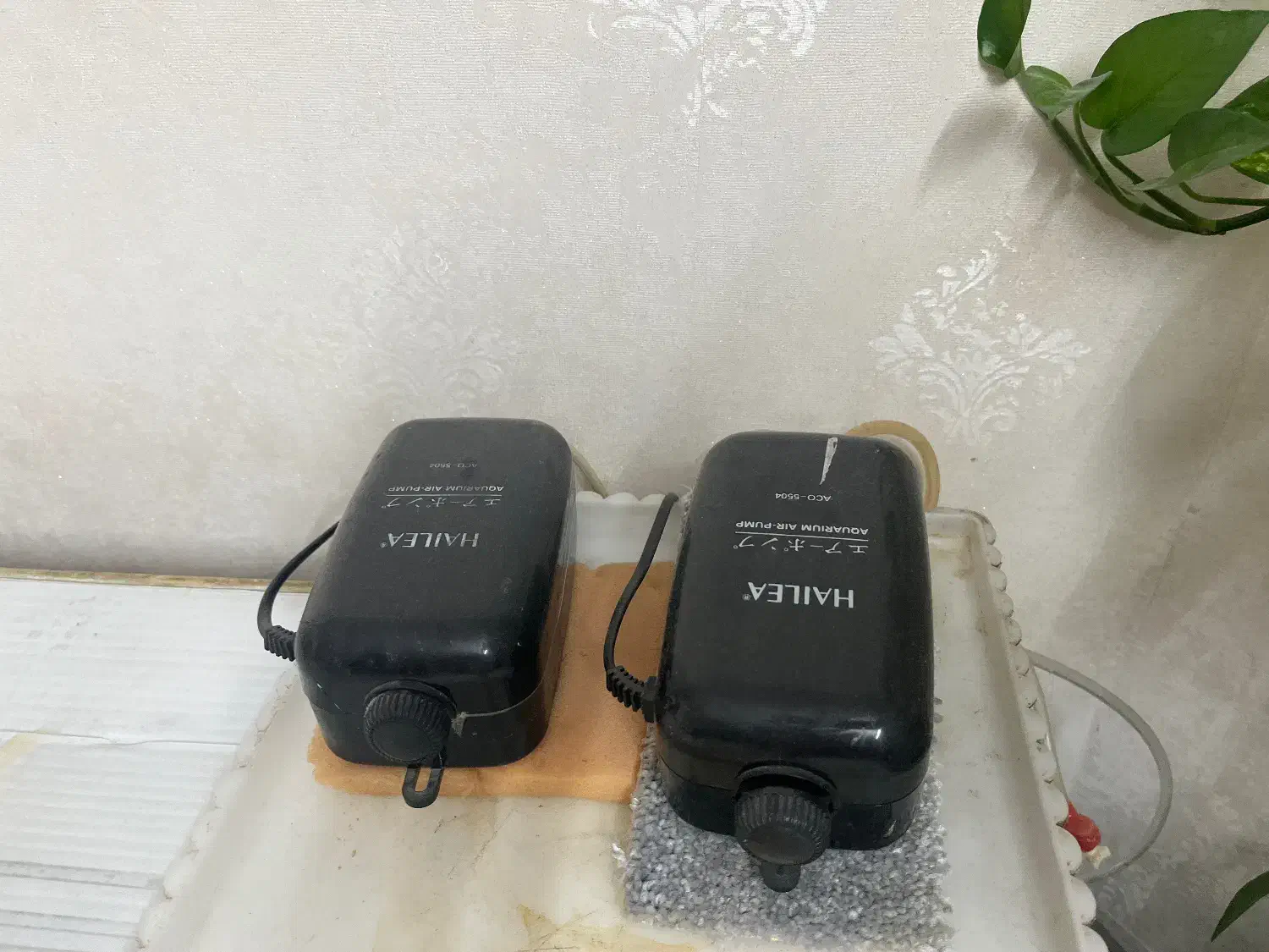 اکواریوم|ماهی|تربت‌حیدریه, سیلوی گندم|دیوار