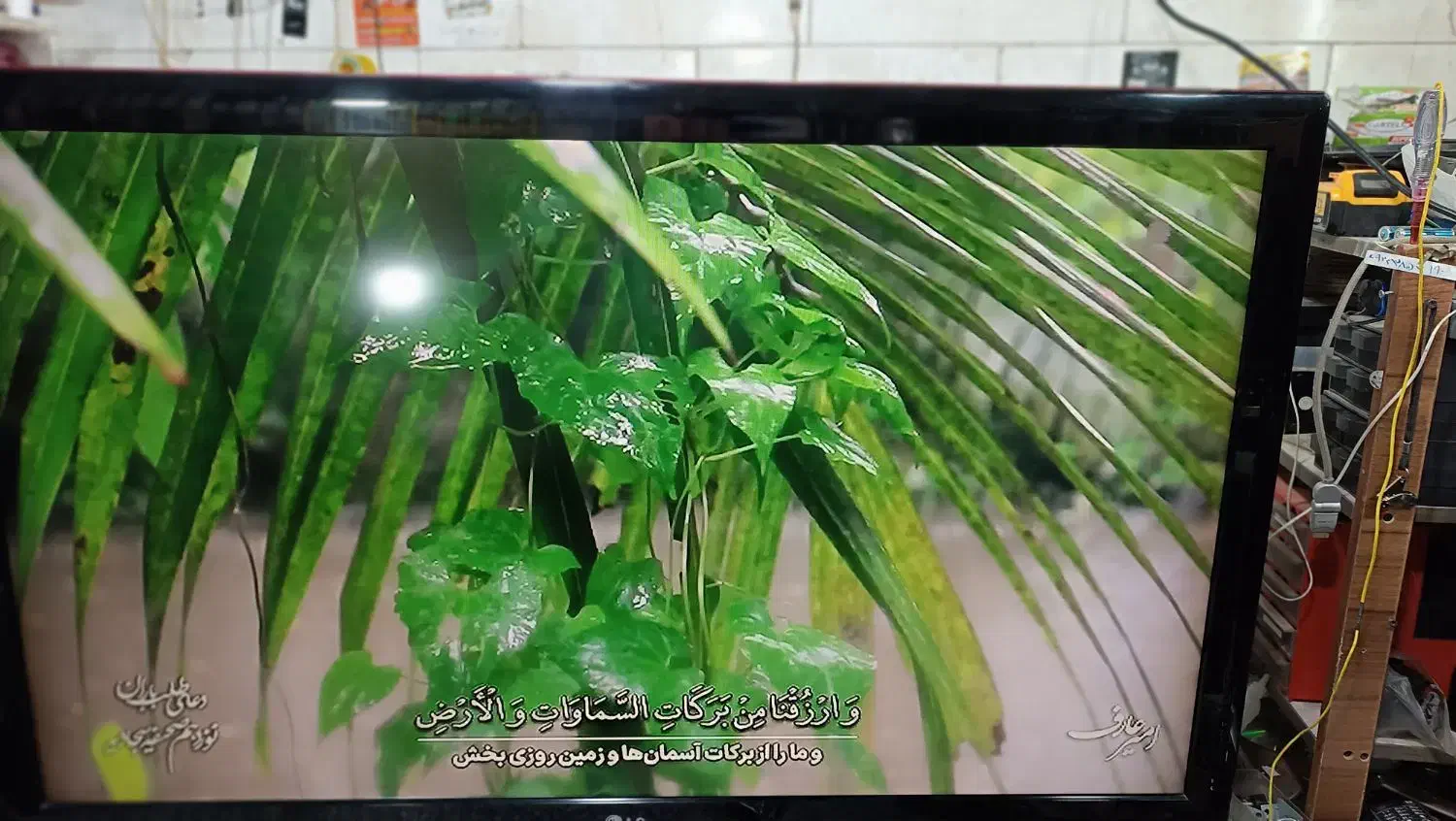 الجی 47این صحیح سالم به شرط|تلویزیون و پروژکتور|نسیمشهر, |دیوار