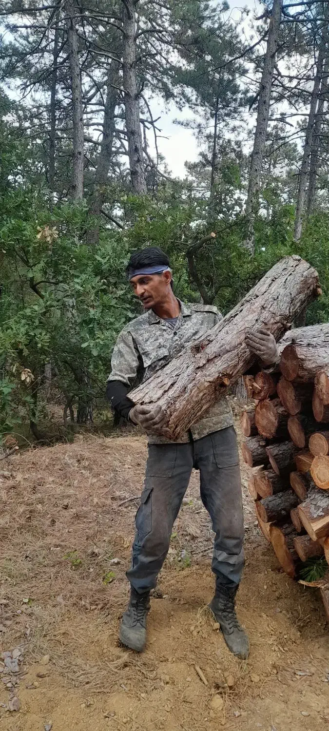 جویای کار درشهر تهران|خدمات پیشه و مهارت|ایوانکی, |دیوار