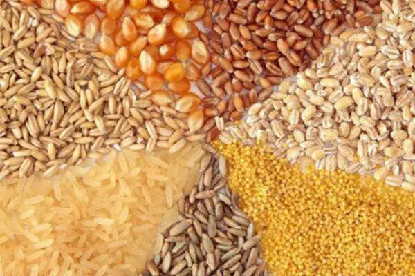 جو و ذرت واردات از روسیه فقط بالای 3000 تن|عمدهفروشی|تهران, میدان میوه و ترهبار مرکزی|دیوار