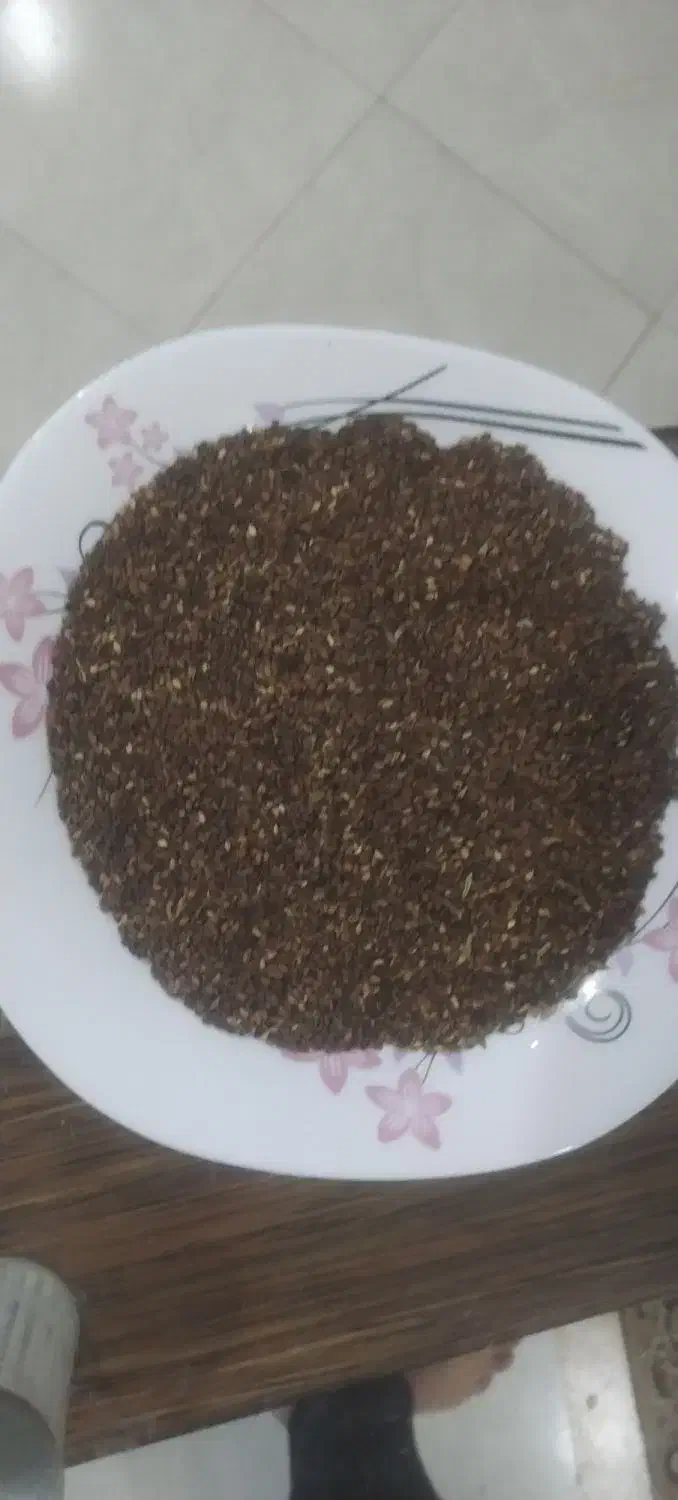 کنجد|خوردنی و آشامیدنی|سبزوار, فیاض|دیوار