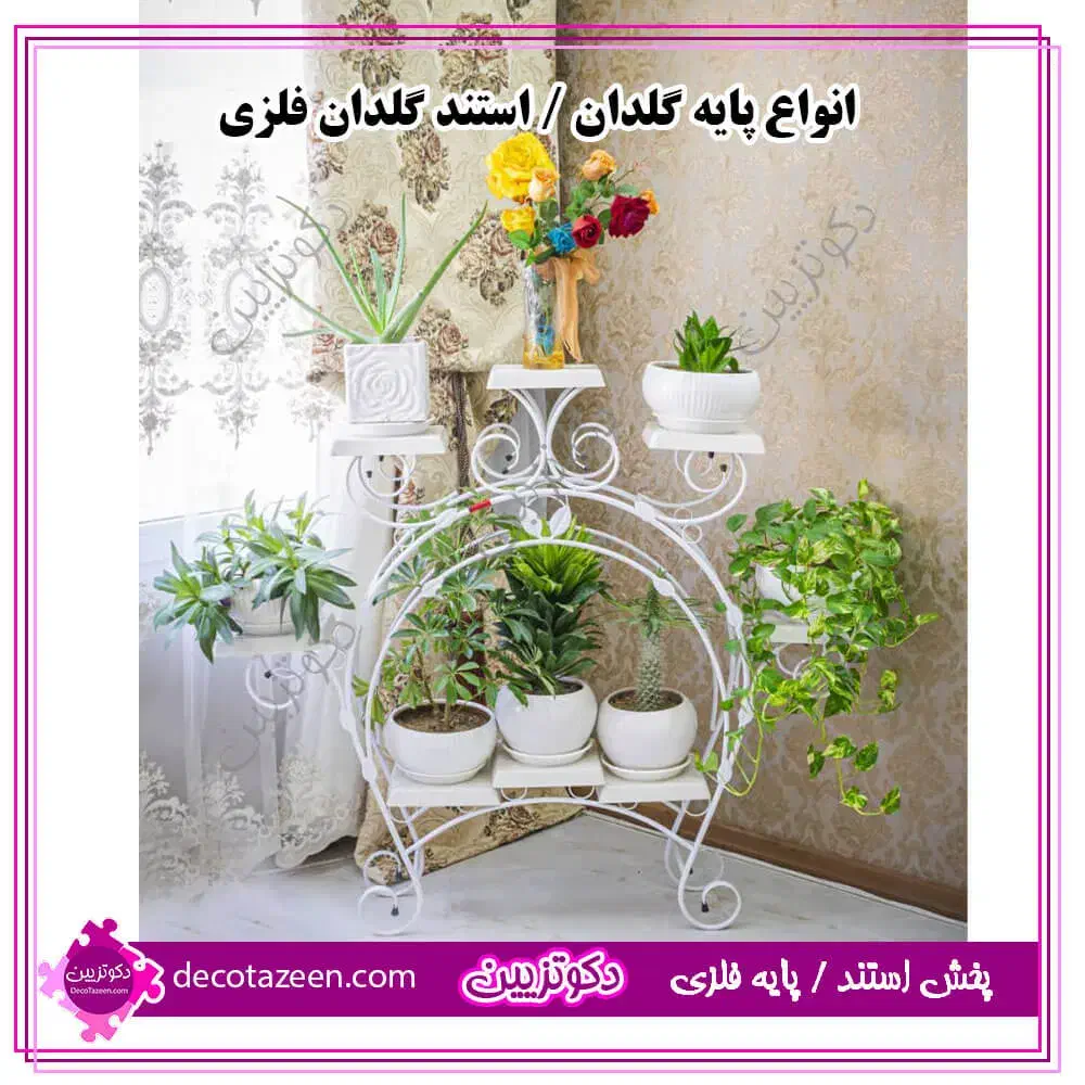 استند گل|گل و گیاه طبیعی|شاهرود, |دیوار