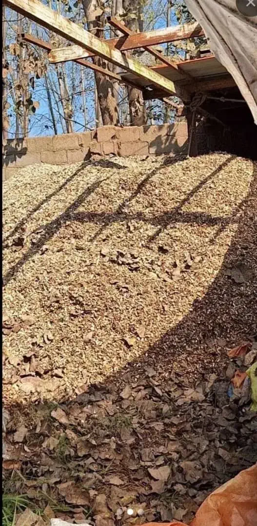 پوست بادام زمینی|عمده‌فروشی|آستانه اشرفیه, |دیوار