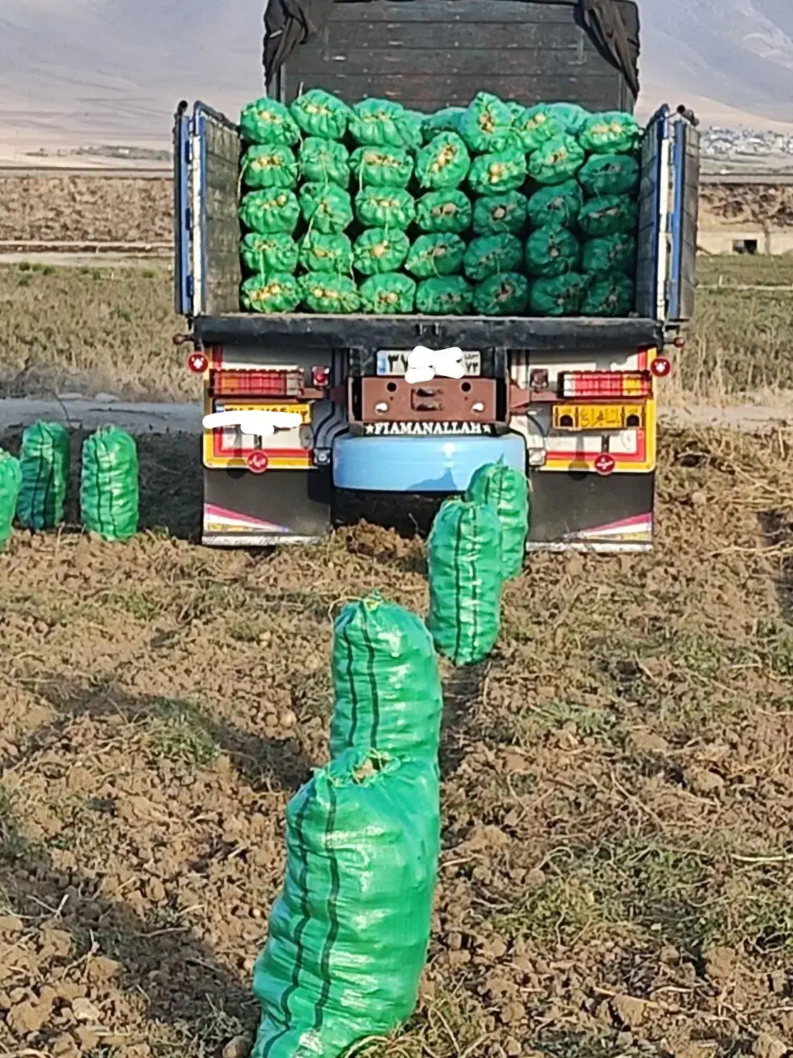 تک آمیکو باری|خودرو سنگین|فسا, |دیوار