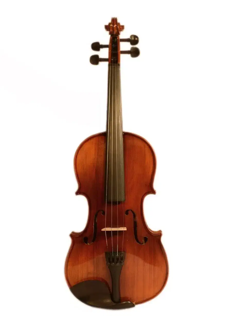 ویولن MV146 4/4|ویولن|یاسوج, |دیوار