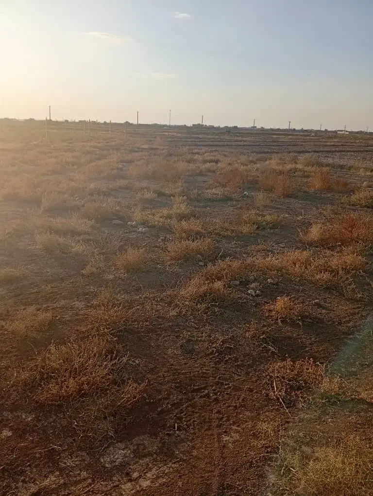 زمین ویلایی ۱۰۷۰ متر با سهم آب|فروش زمین و ملک کلنگی|ایلخچی, |دیوار