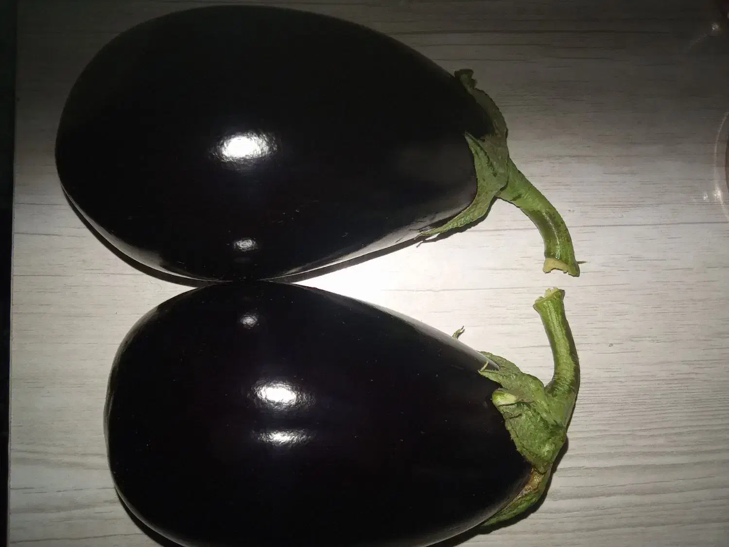 گلخانه بادمجان اجاره داده میشود|اجارهٔ دفتر صنعتی، کشاورزی، تجاری|جیرفت, |دیوار