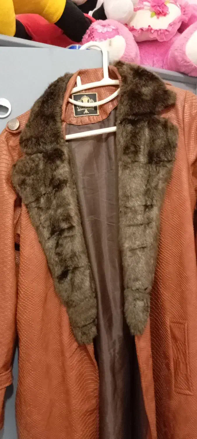 پالتو|لباس|کرمان, |دیوار