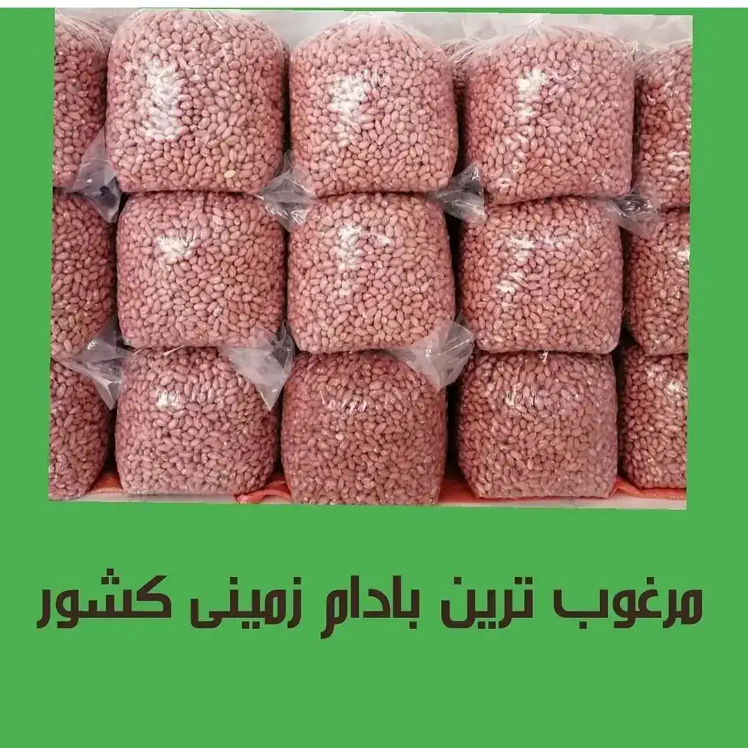 بادام زمینی|خوردنی و آشامیدنی|کرج, فاز ۴ مهرشهر|دیوار