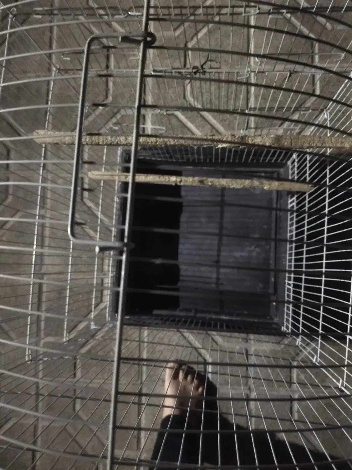 قفس بزرگ|لوازم جانبی حیوانات|مشهد, امیرآباد|دیوار