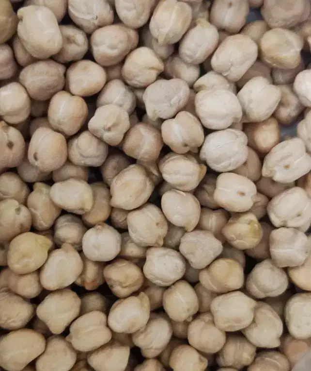 نخود ابگوشتی|خوردنی و آشامیدنی|ممقان, |دیوار