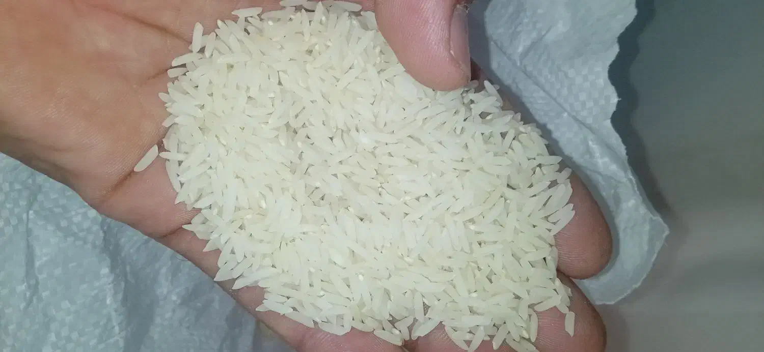 برنج معطر طارم دم سیاه درجه خالص|عمده‌فروشی|طرقبه, |دیوار