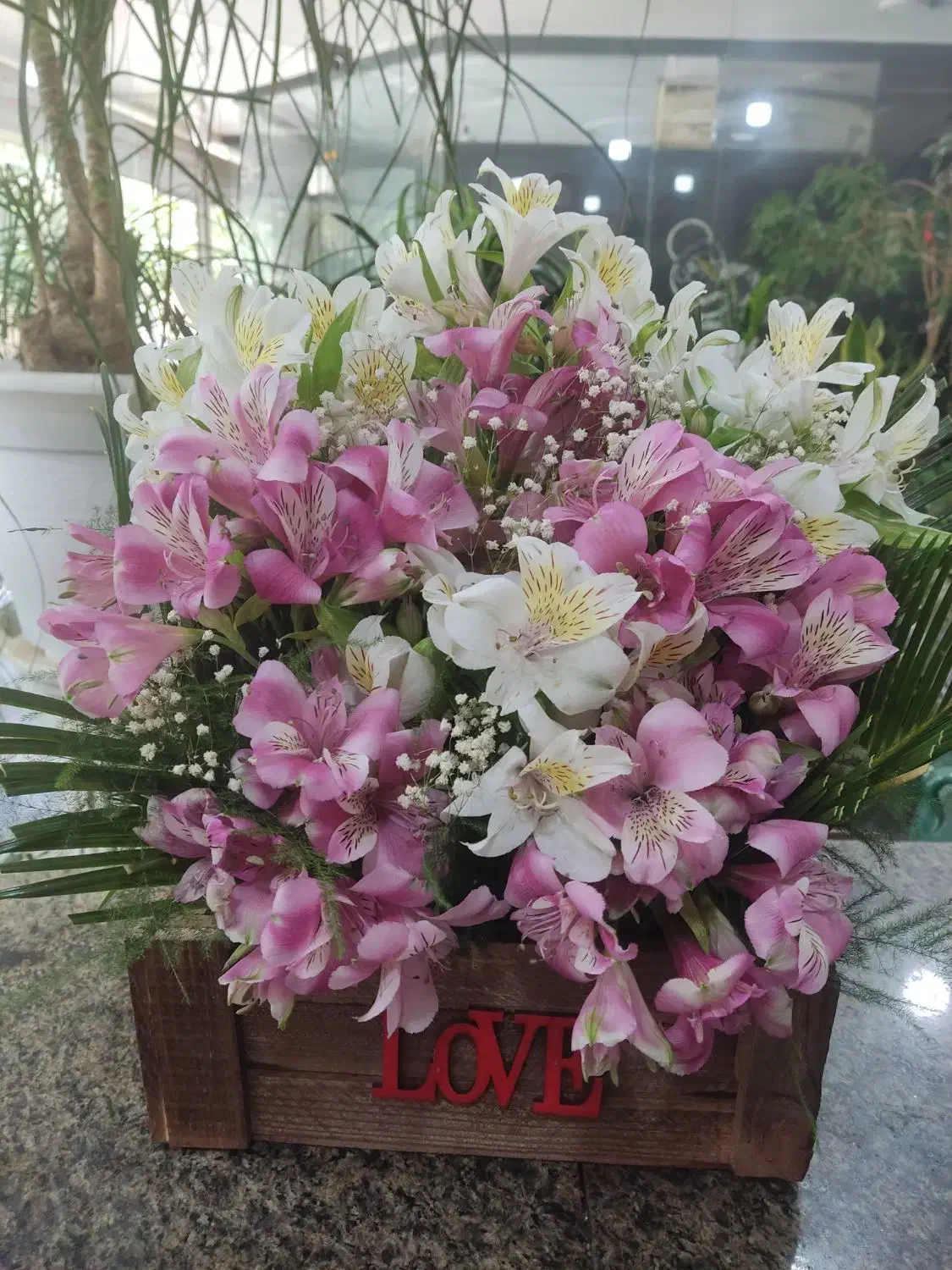 باکس گل ، سبد گل ، دسته گل ،گل آرایی با قیمت مناسب|گل و گیاه طبیعی|اصفهان, خانه اصفهان|دیوار