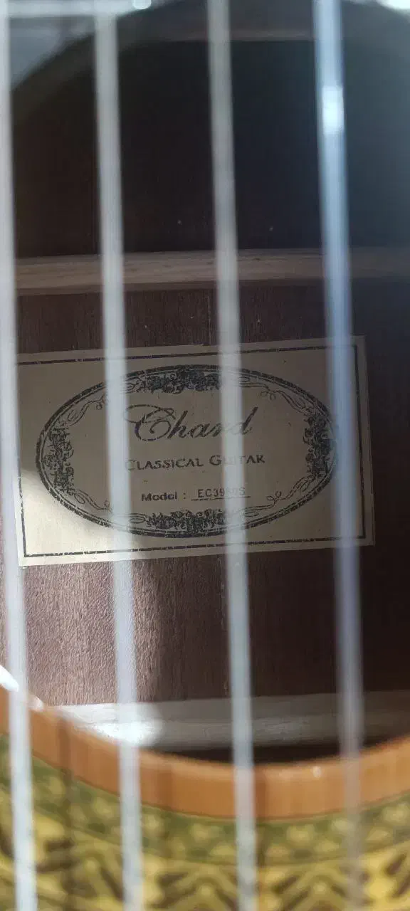 گیتار chard|گیتار، بیس، امپلیفایر|یاسوج, |دیوار