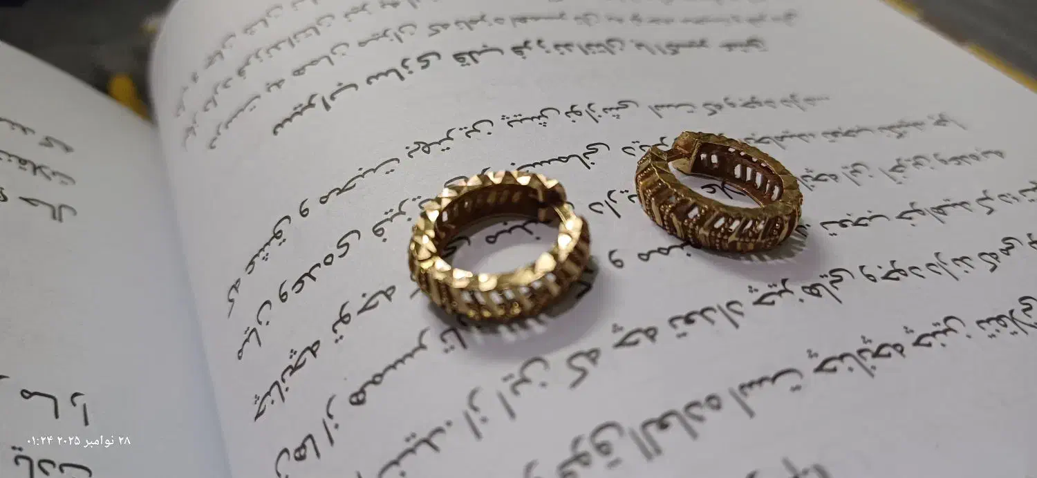 گل گوش کلیبسی|جواهرات|جهرم, |دیوار