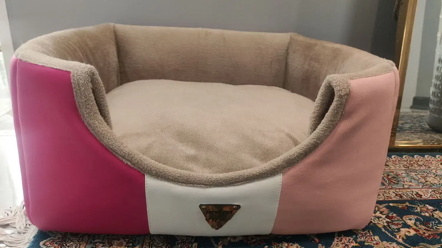 لوازم جانبی گربه|گربه|بومهن, |دیوار